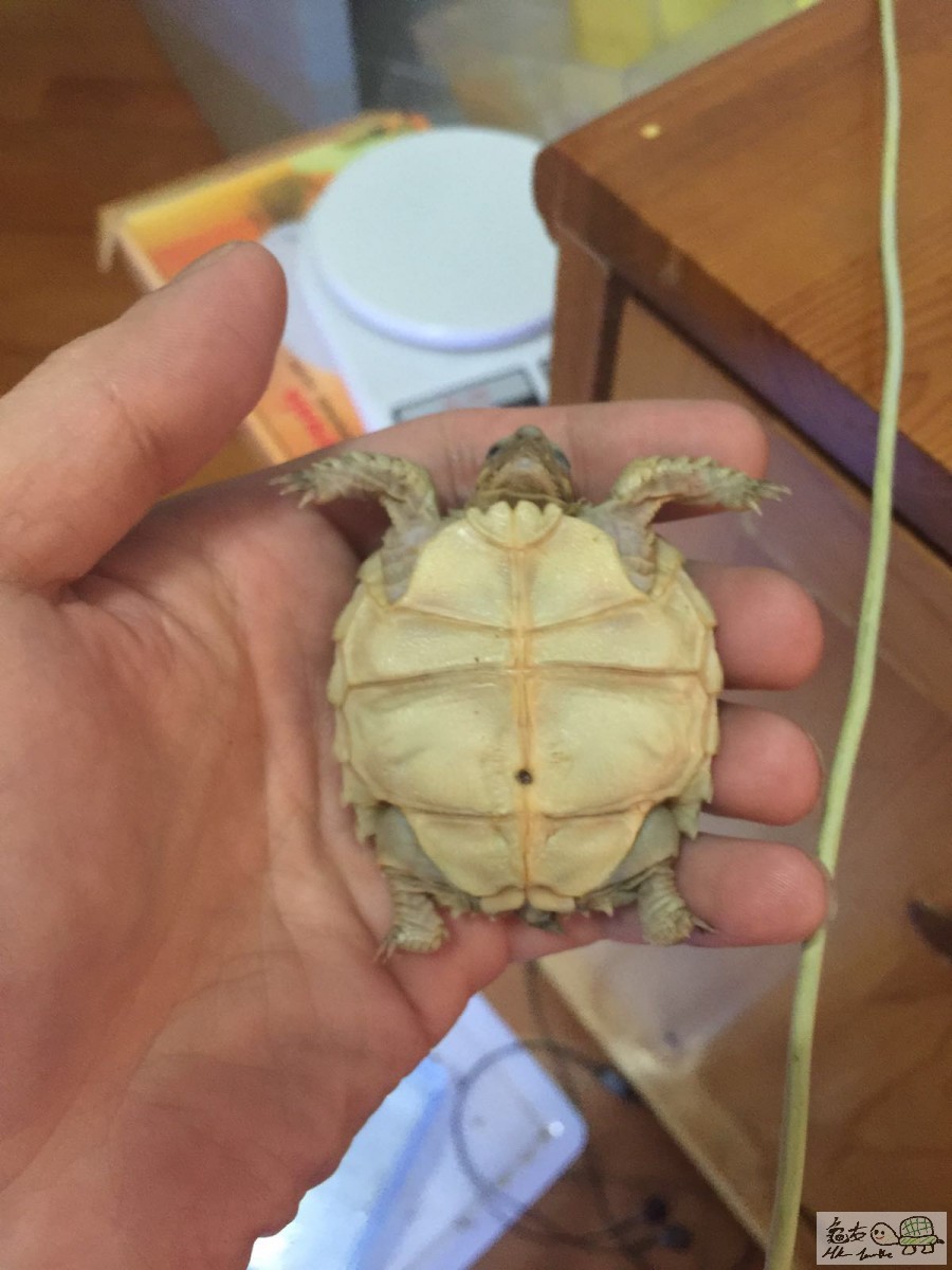 20160216052722 (1).jpg