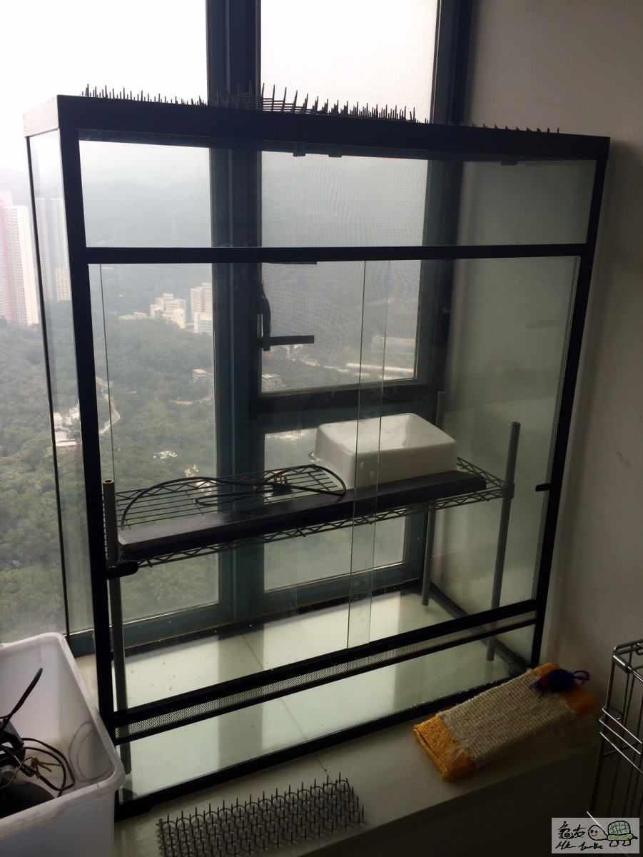 FullSizeRender (1).jpg