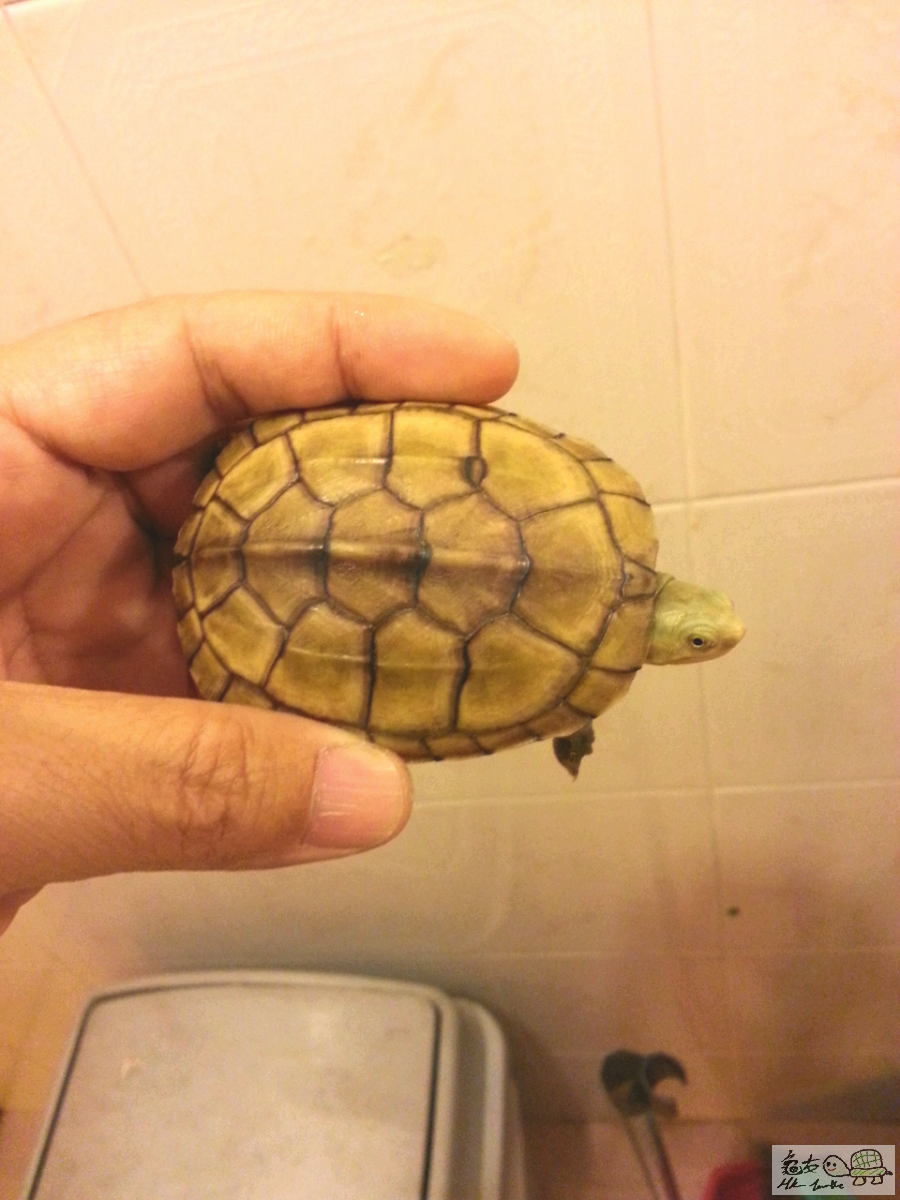 2016-03-30 20.25.30.png