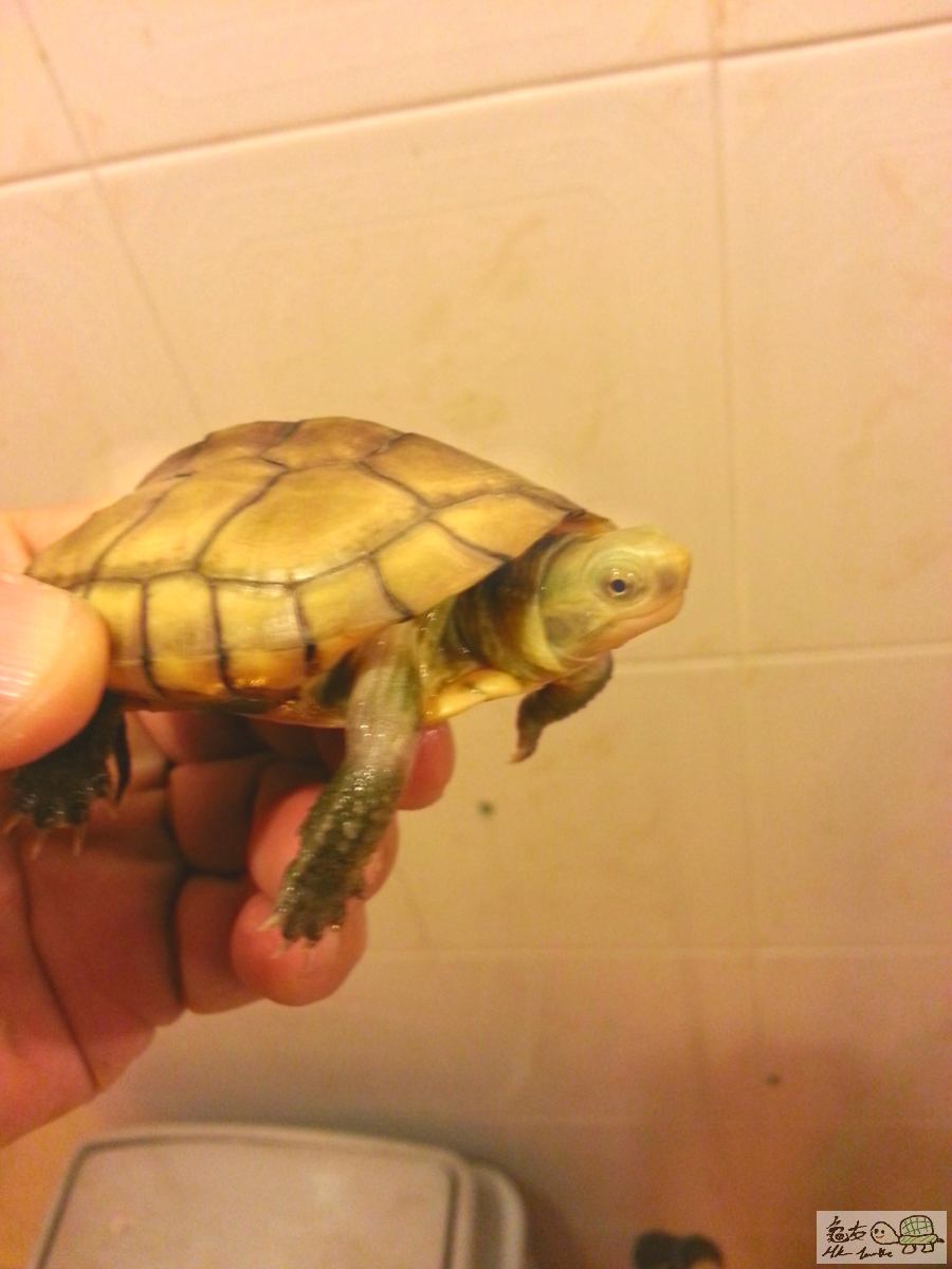 2016-03-30 20.24.42.png