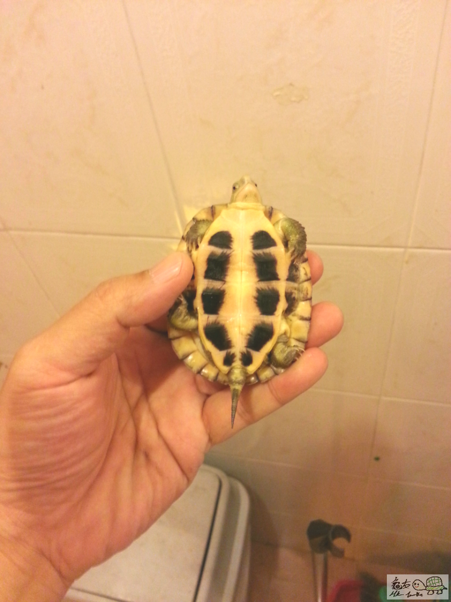 2016-03-30 20.22.18.png