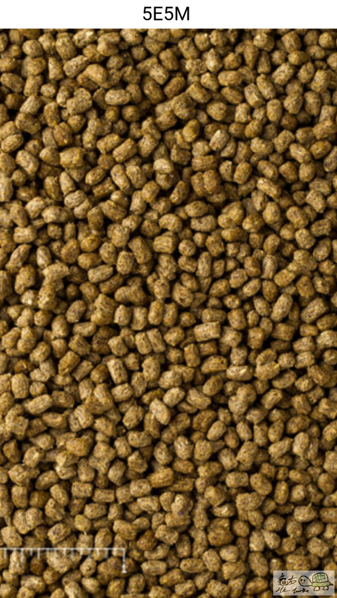 5E5M