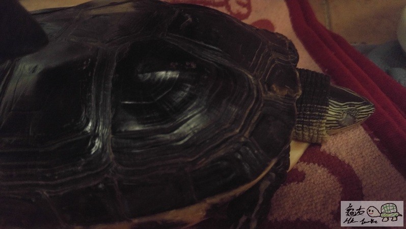 好擔心q_q抱佢又唔係~泡下水又唔知好唔好