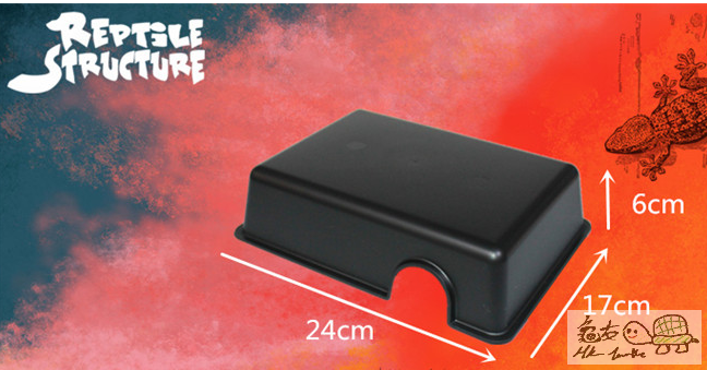 M SIZE.png