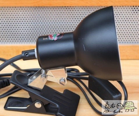 small lampshade.jpg