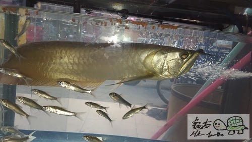 20151224_135626.jpg