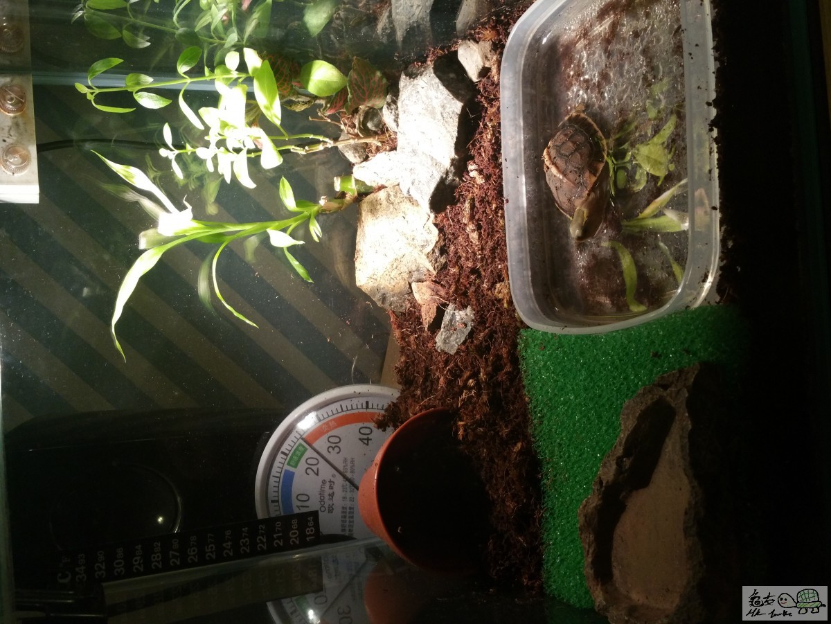 20160427_204403.jpg