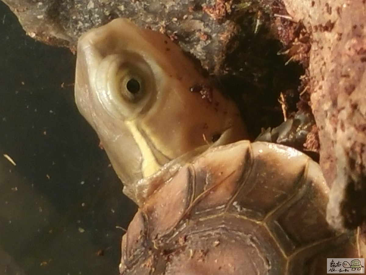 20160427_204737.jpg