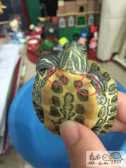 2016-05-19 01.51.58.jpg