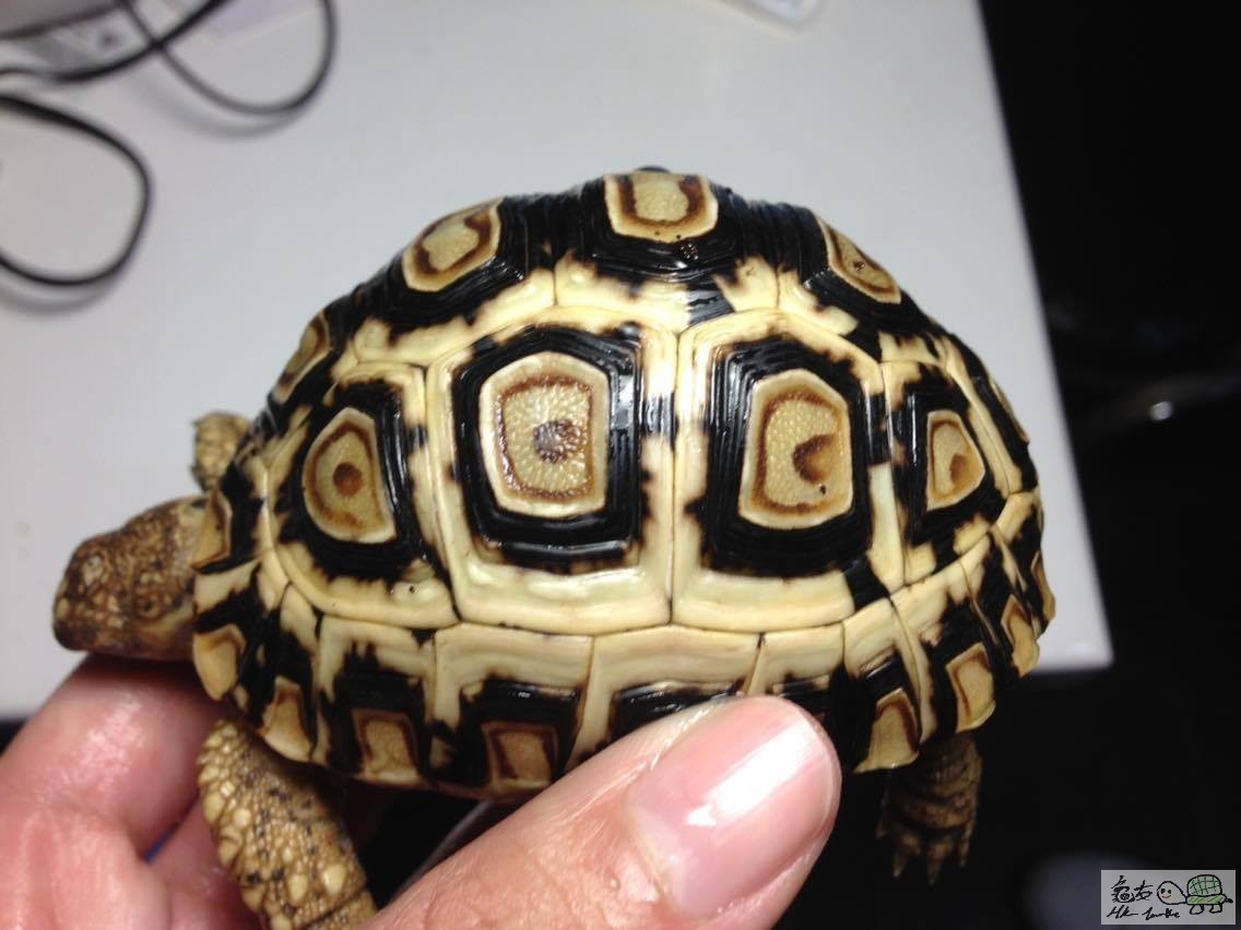 3 (4).jpg