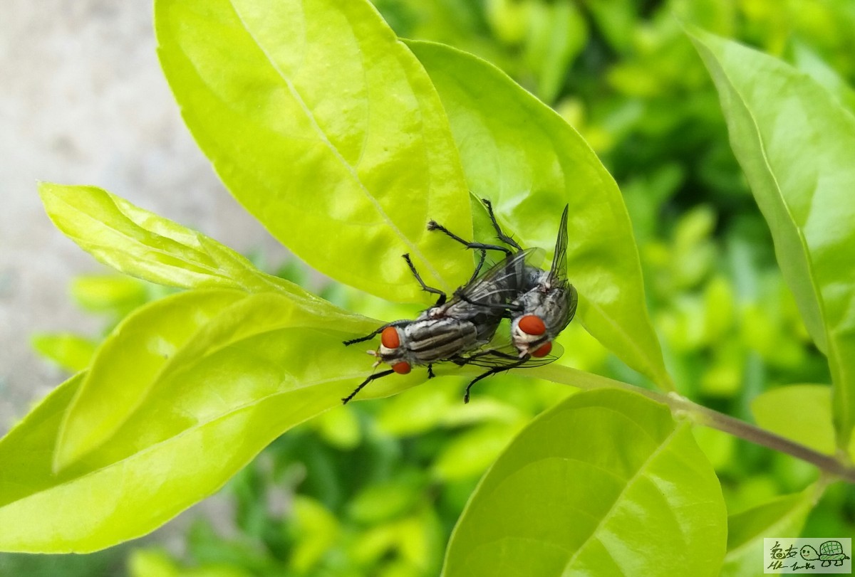 公眾地方行為不檢……