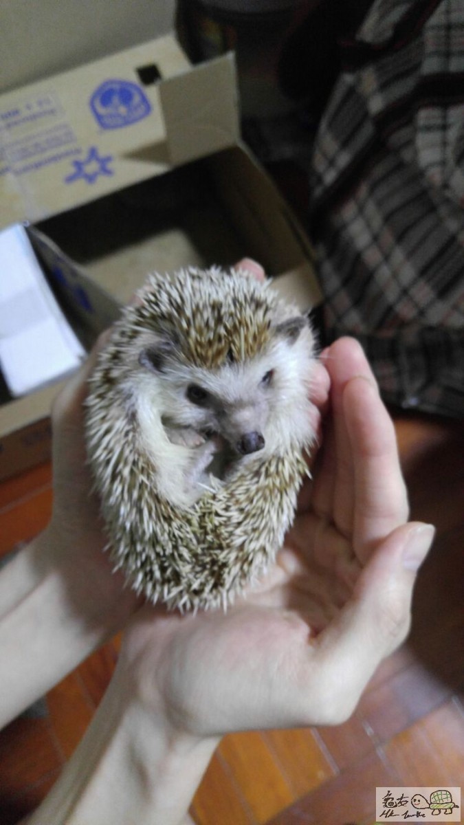 WhatsApp-Image-20160618 (2).jpg