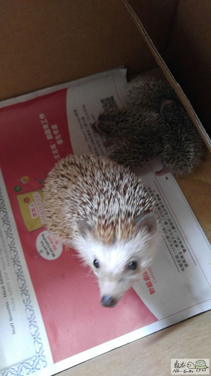 WhatsApp-Image-20160618 (4).jpg