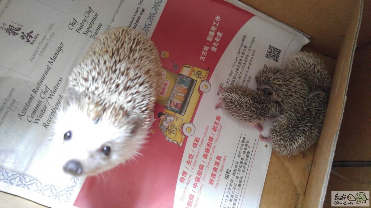 WhatsApp-Image-20160618 (5).jpg