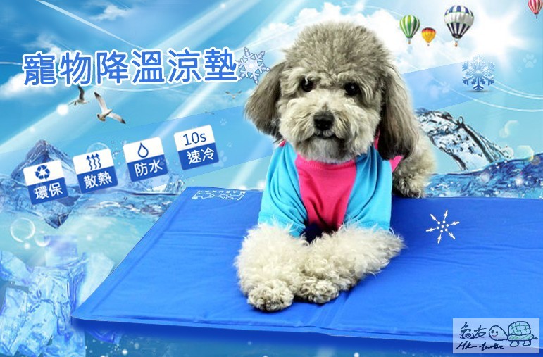 夏天必備！寵物解熱降溫涼墊主圖-771x507-771x507.jpg
