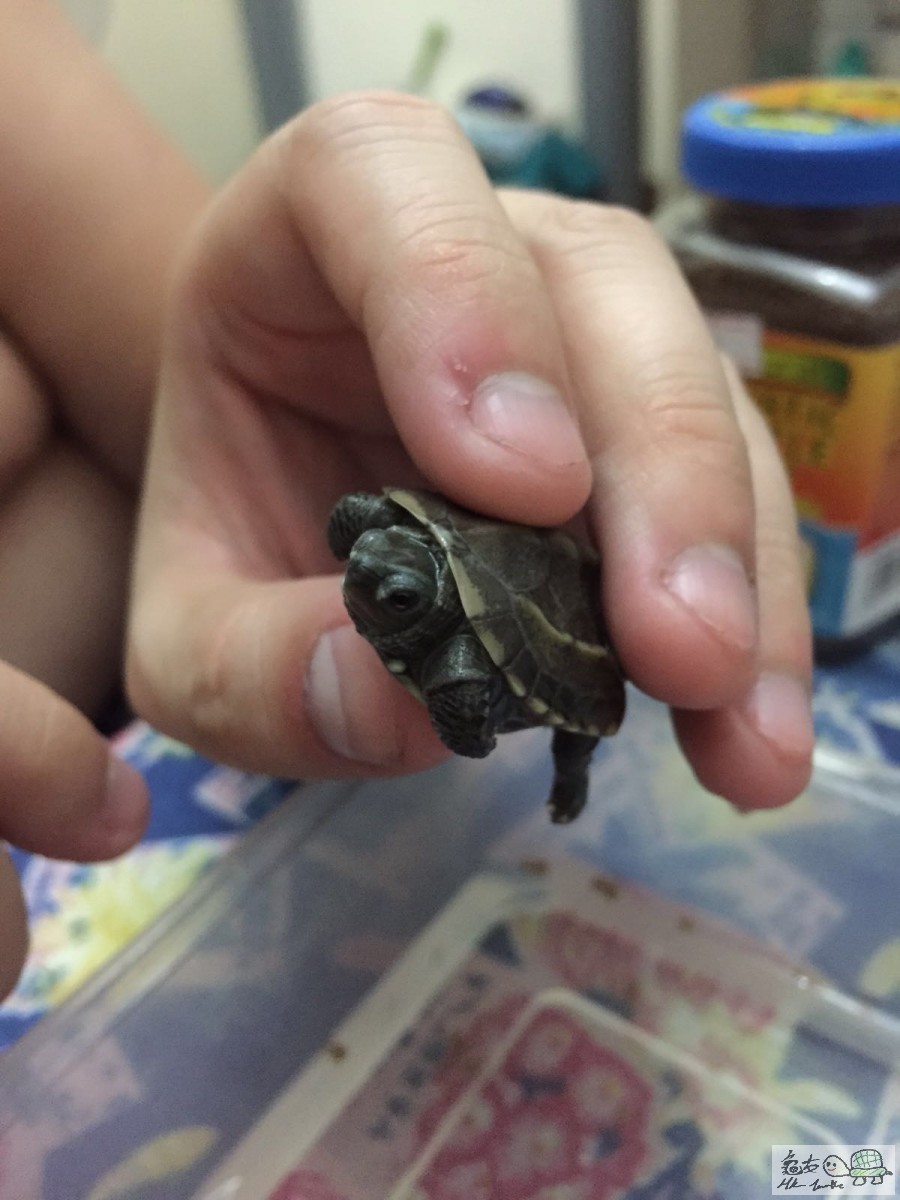 WhatsApp-Image-20160707 (2).jpeg