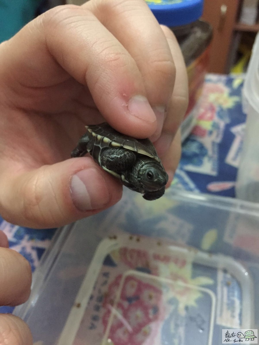 WhatsApp-Image-20160707 (1).jpeg