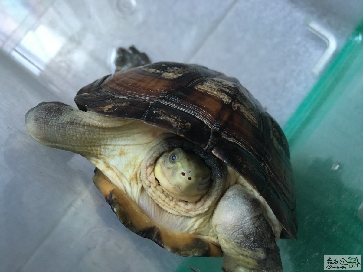 2016-08-24 174620.jpg