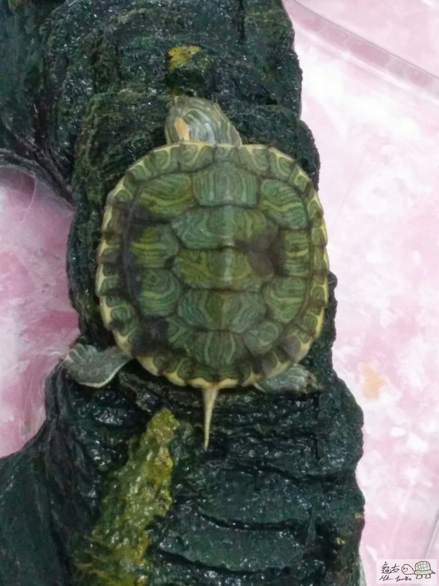 WhatsApp Image 2016-09-09 at 21.52.53.jpeg