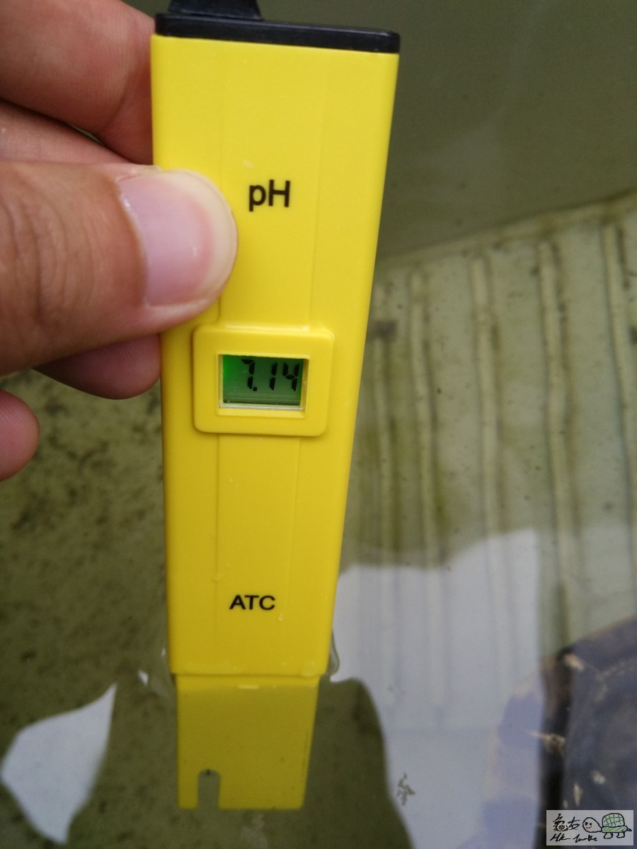 PH值 7.1