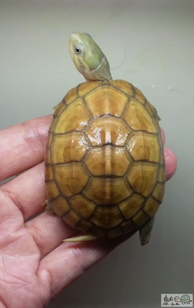 2016-11-10 14.54.38.jpg