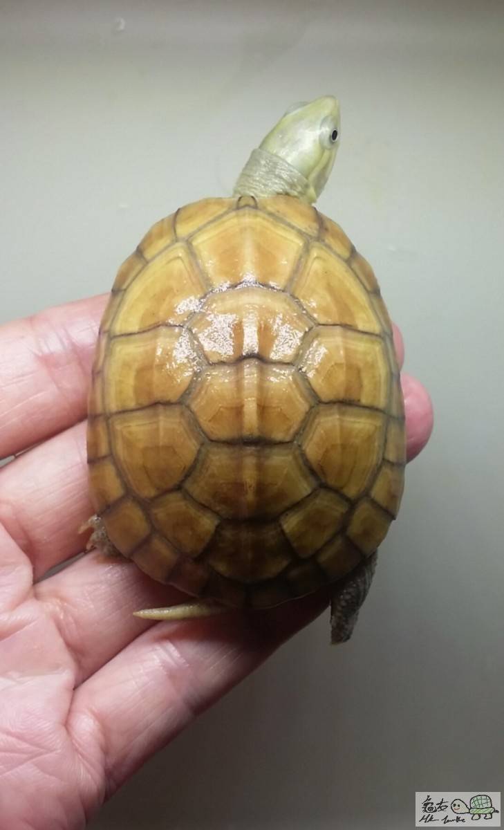 2016-11-10 14.53.58.jpg