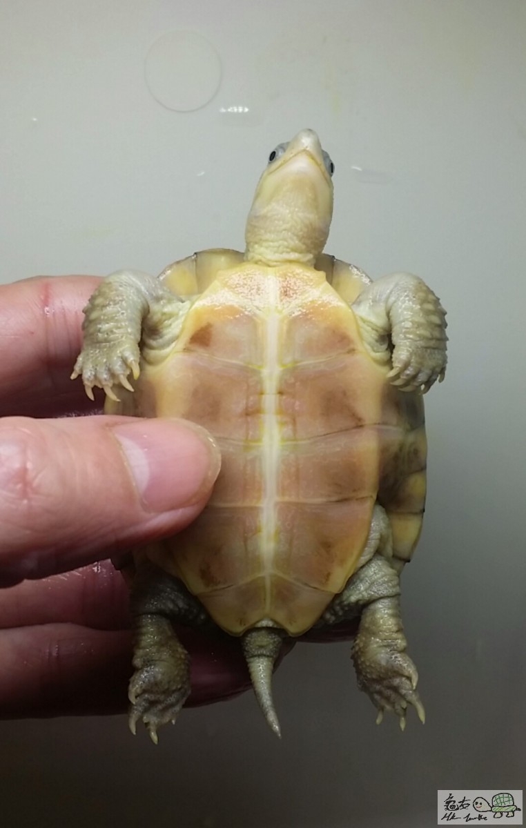 2016-11-10 13.33.19.jpg