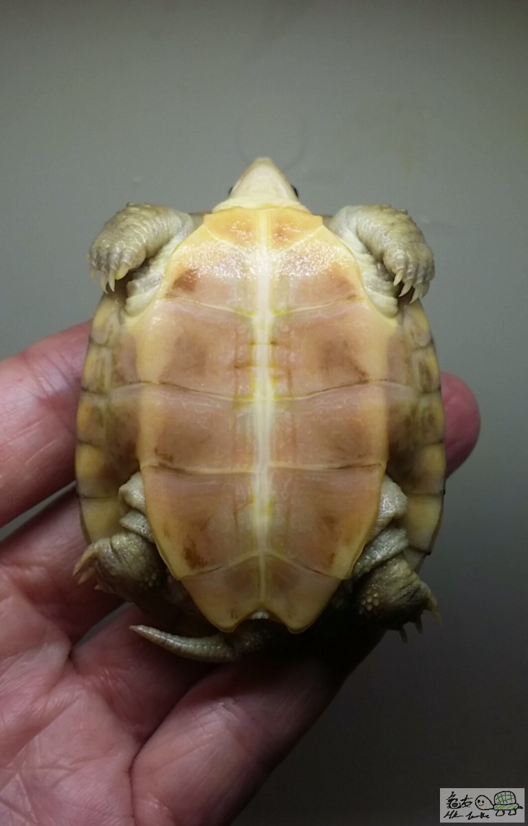 2016-11-10 14.55.18.jpg