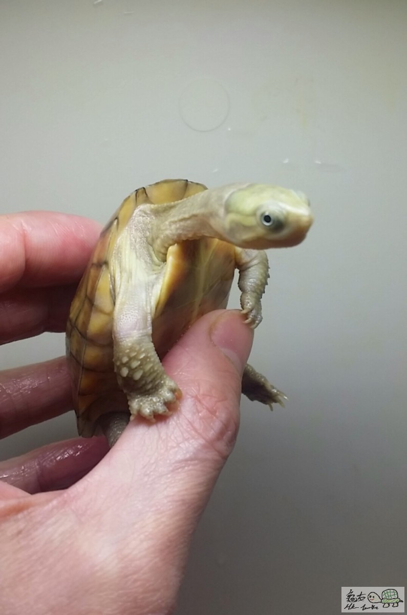 2016-11-10 13.35.49.jpg