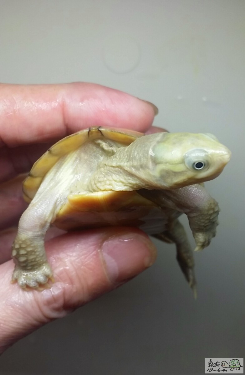 2016-11-10 13.34.07.jpg