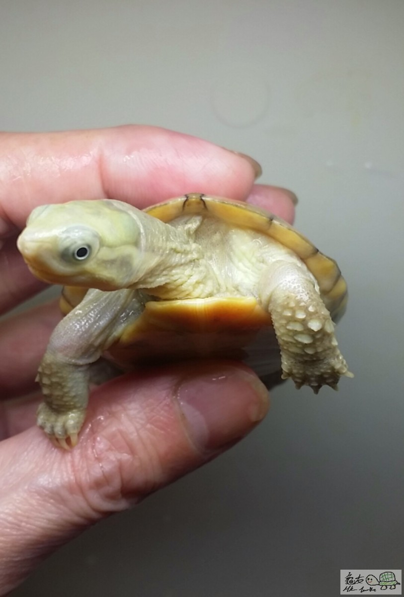 2016-11-10 13.34.53.jpg