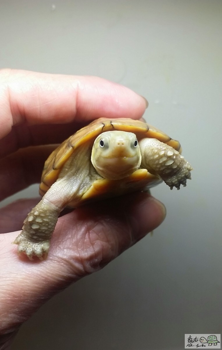 2016-11-10 13.37.16.jpg