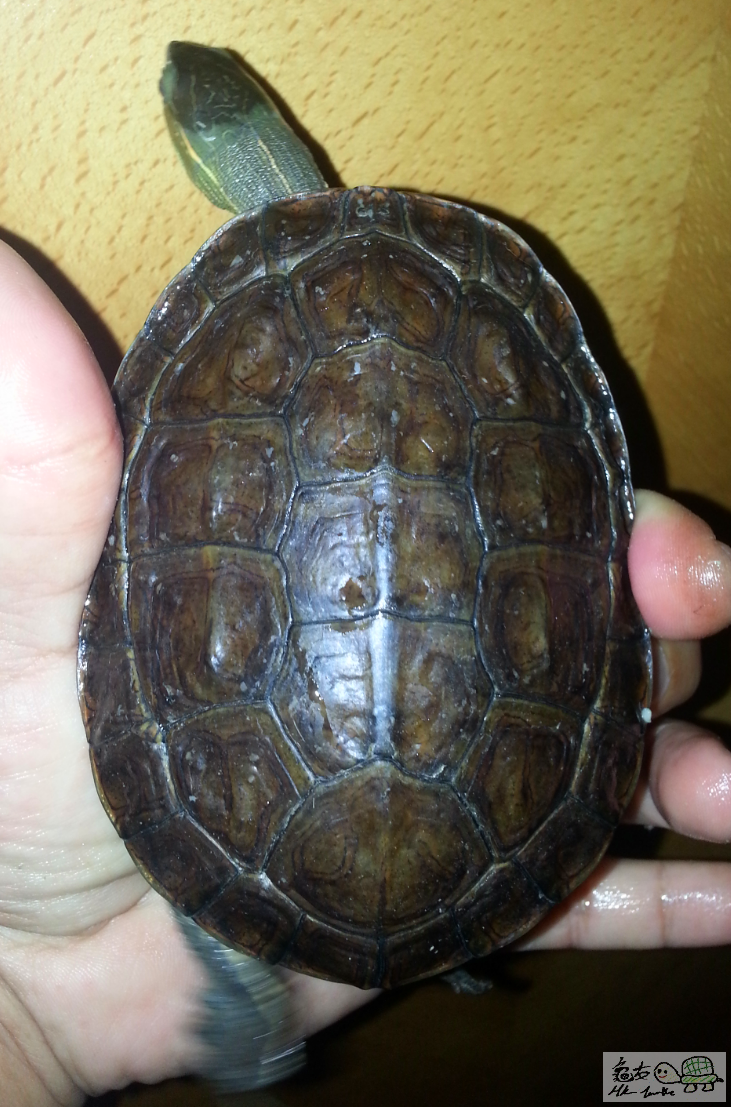 2016-12-27 00.27.21-1.png