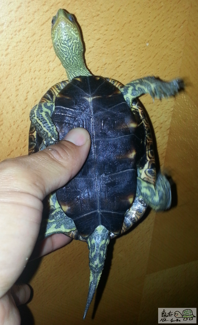 2016-12-27 00.27.56-1.png