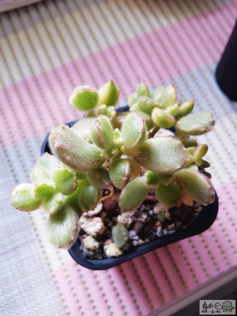 MTXX_20170129140650 (Large).jpg