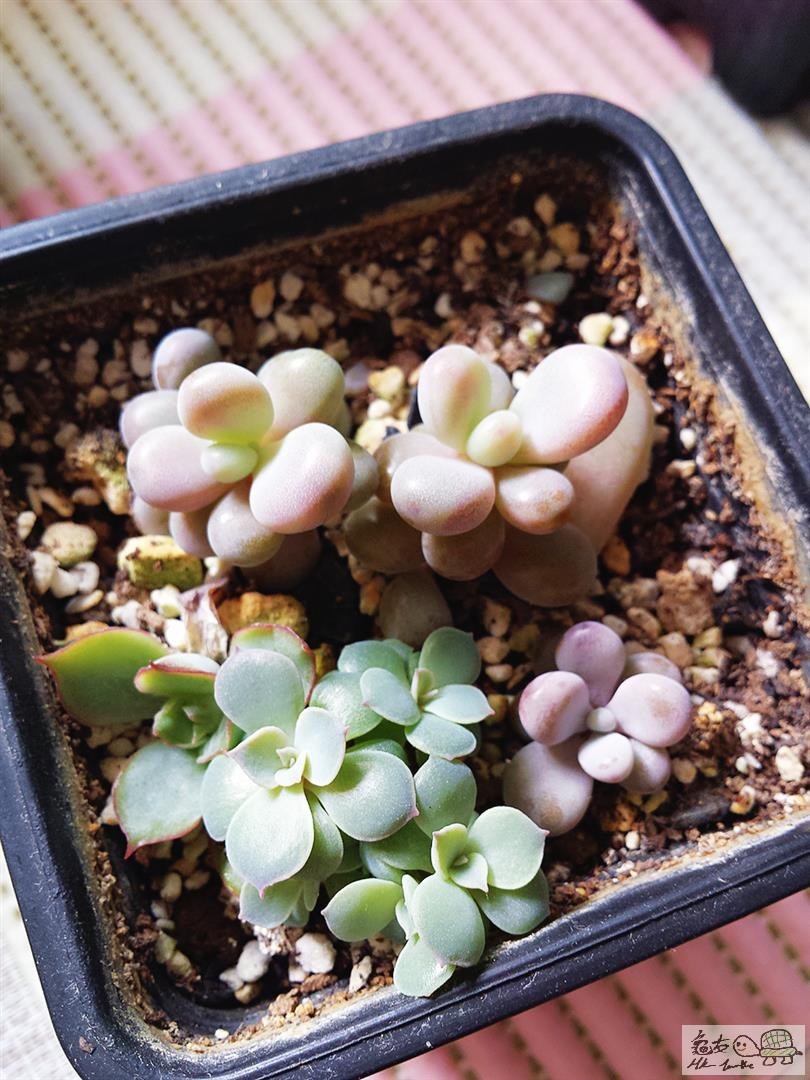 MTXX_20170129140940 (Large).jpg