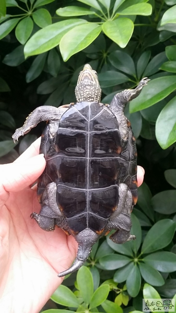 2017-02-01 15.08.47.jpg