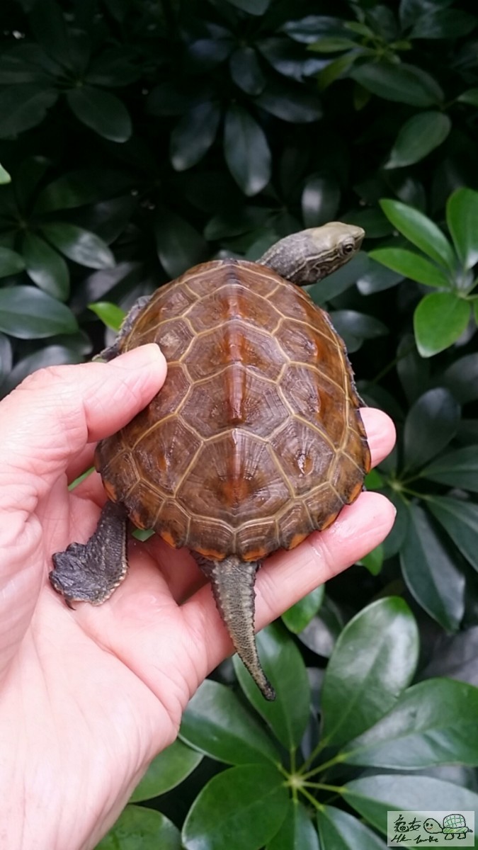 2017-02-01 15.10.09.jpg