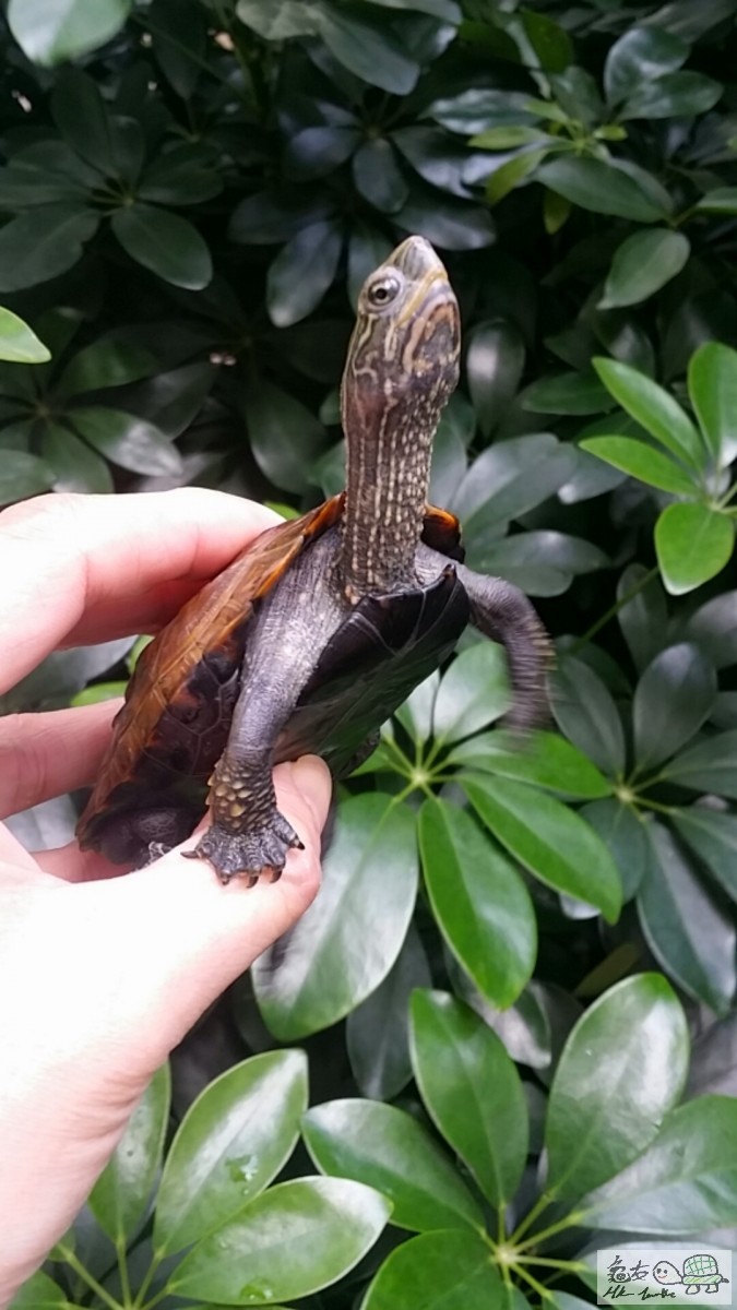 2017-02-01 15.11.24.jpg