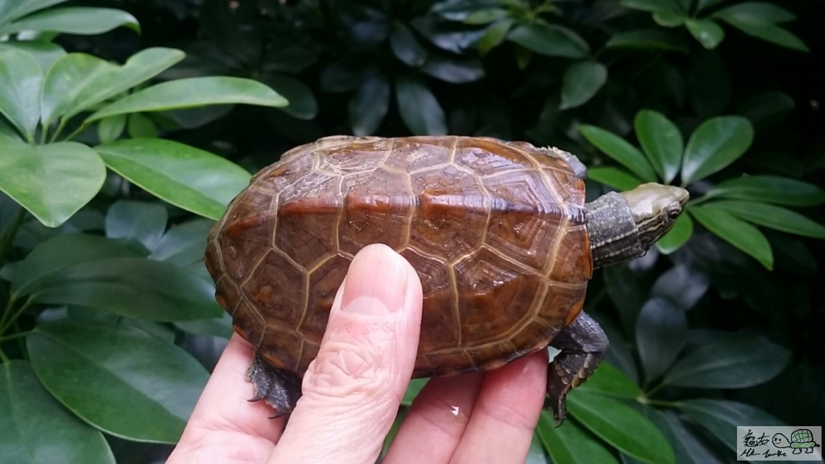 2017-02-01 15.10.42.jpg