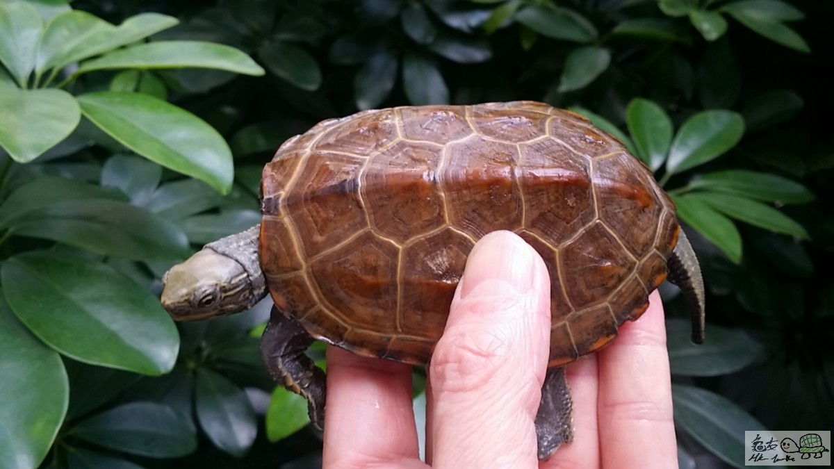 2017-02-01 15.10.58.jpg