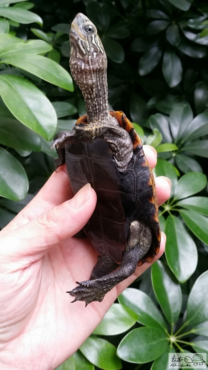 2017-02-04 14.11.07.jpg