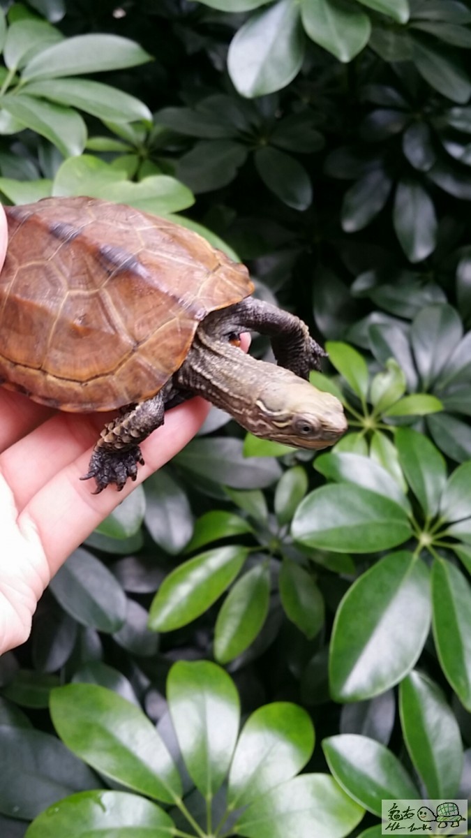 2017-02-04 14.09.11.jpg