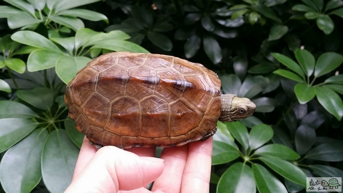 2017-02-04 14.09.48.jpg