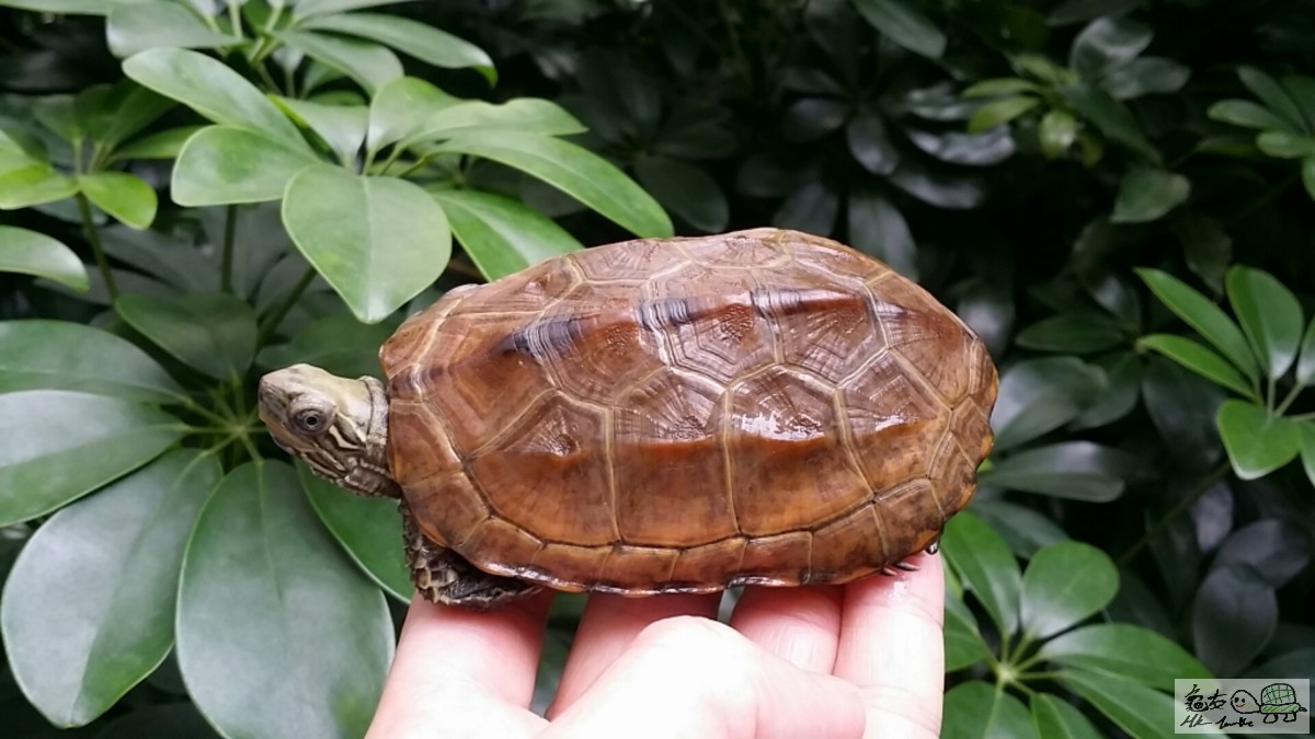 2017-02-04 14.09.28.jpg