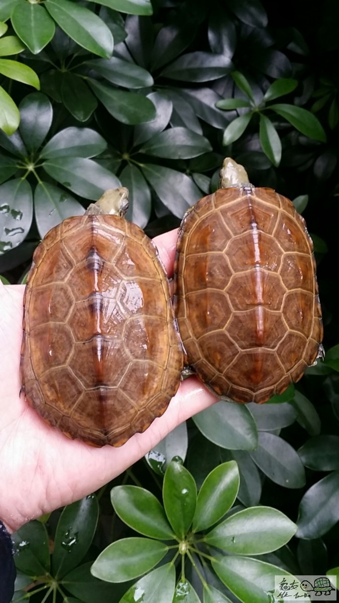 2017-02-04 14.08.47.jpg