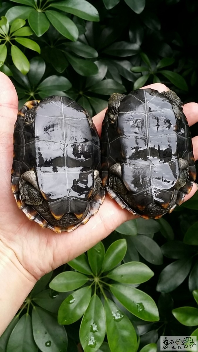 2017-02-04 14.12.49.jpg