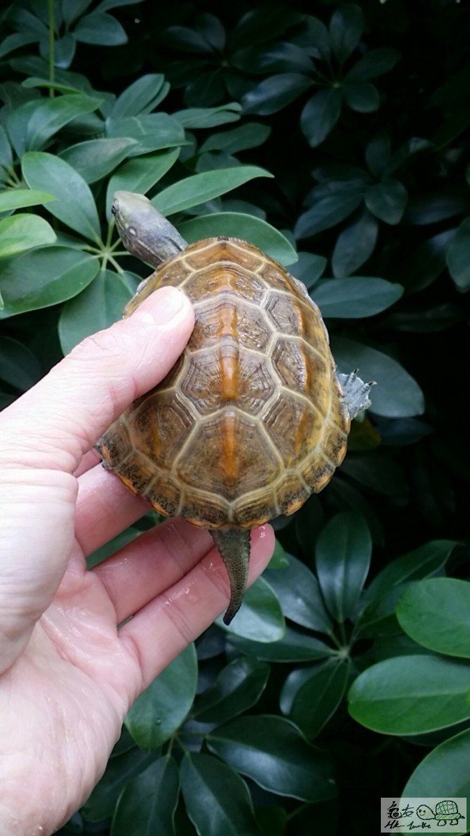 2017-02-12 14.44.27.jpg