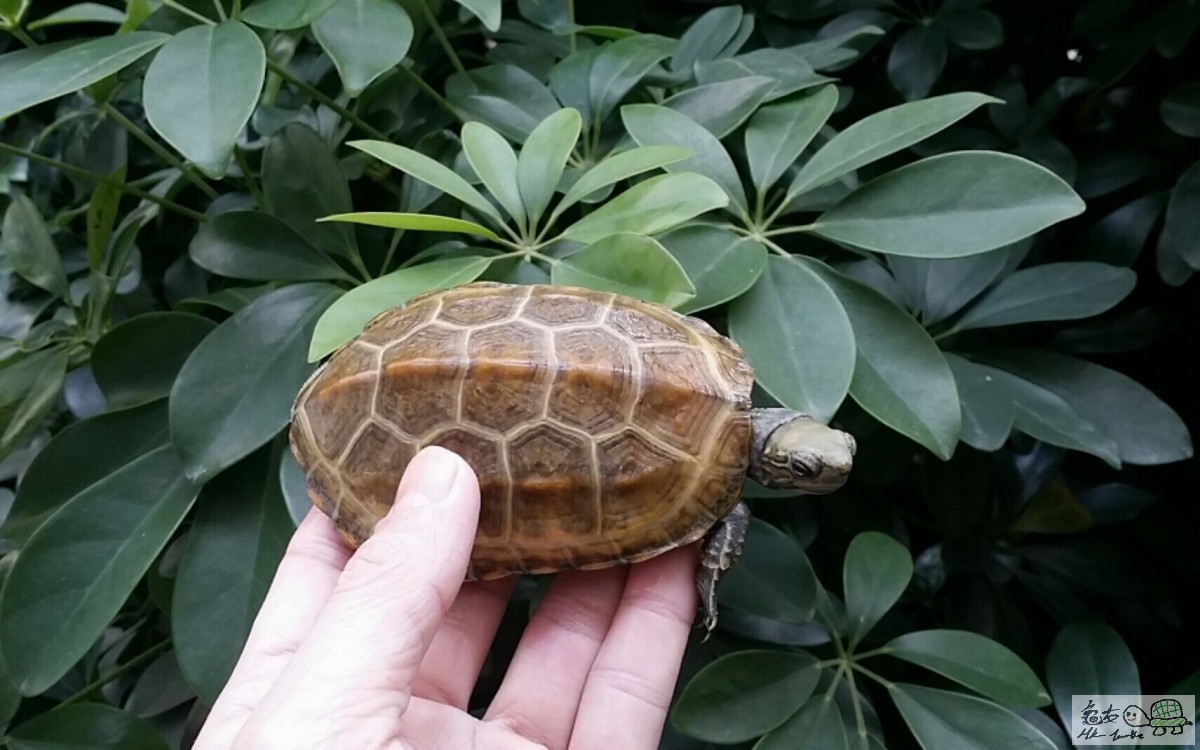 2017-02-12 21.56.10.jpg