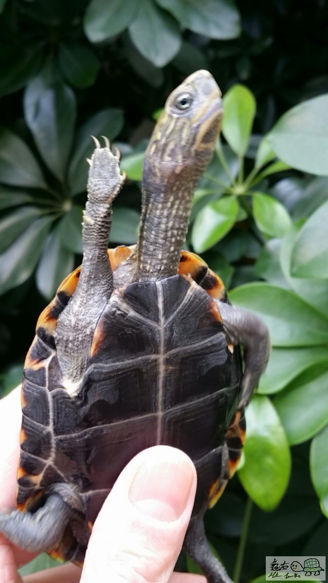 2017-02-12 14.44.06.jpg